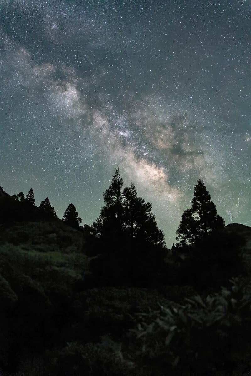 Milky Way Backdrops